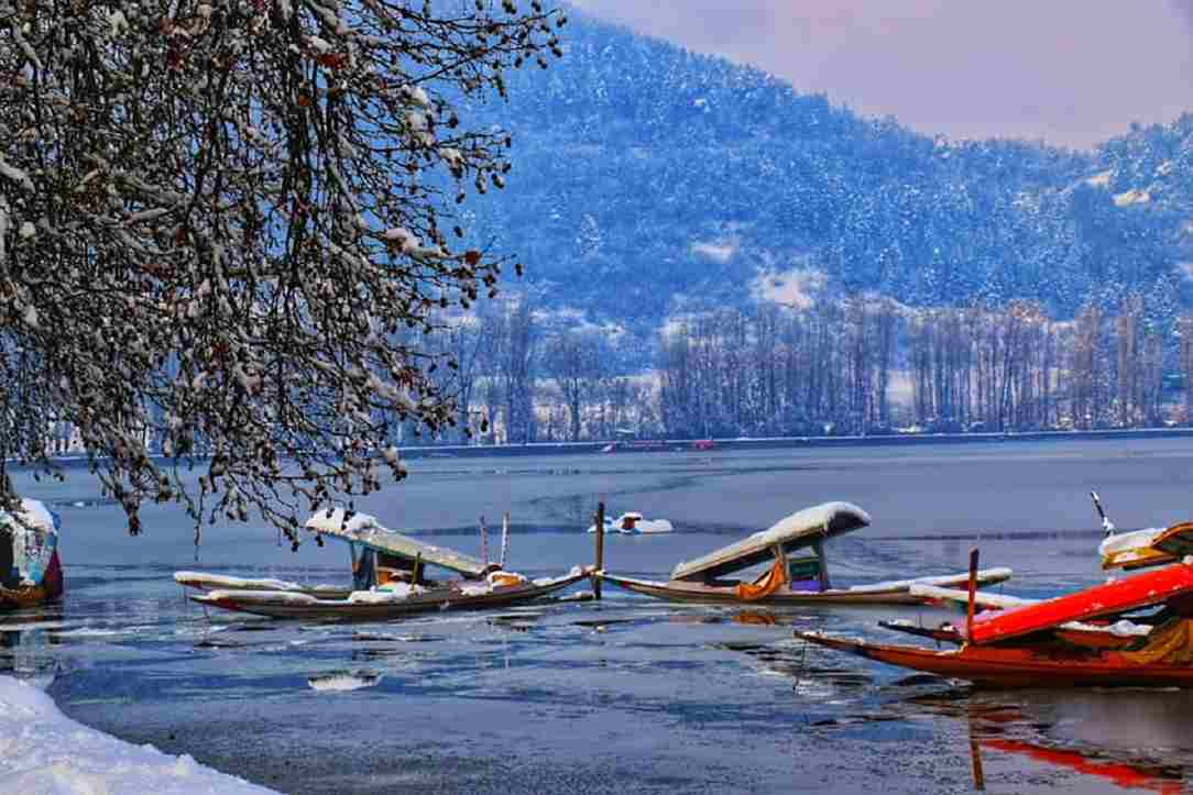 Kashmir Tour with Golden Triangle